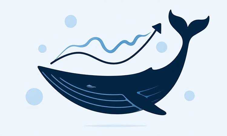 Whales Are Setting the Trend