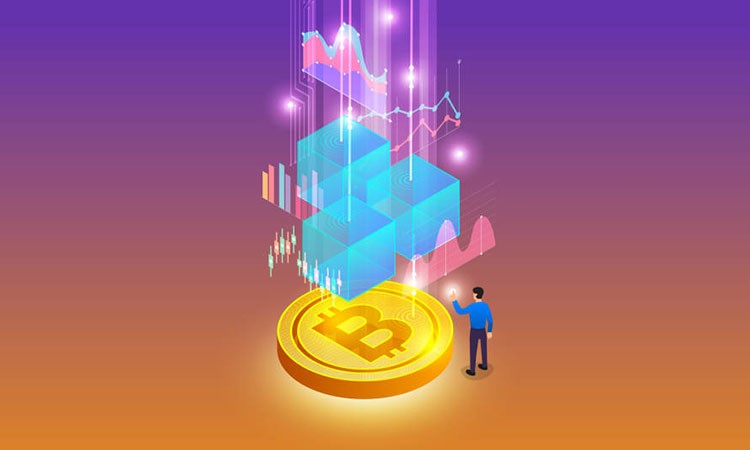 Crypto Election Results in the U.S.