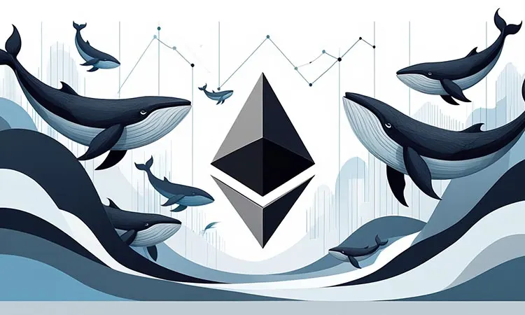 Whales Are Accumulating Ethereum