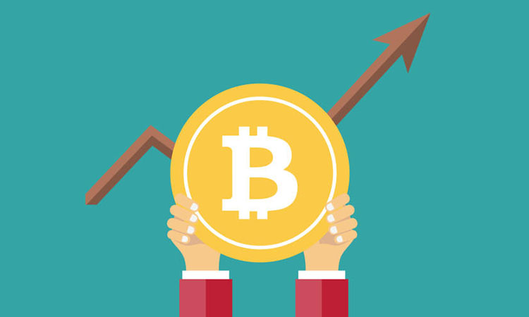 Bitcoin Shows Growth