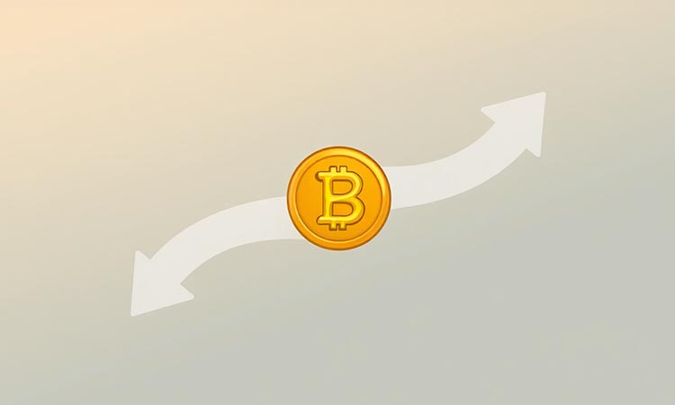 Bitcoin at a Market Crossroads