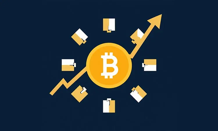Bullish Wallets Accumulate BTC