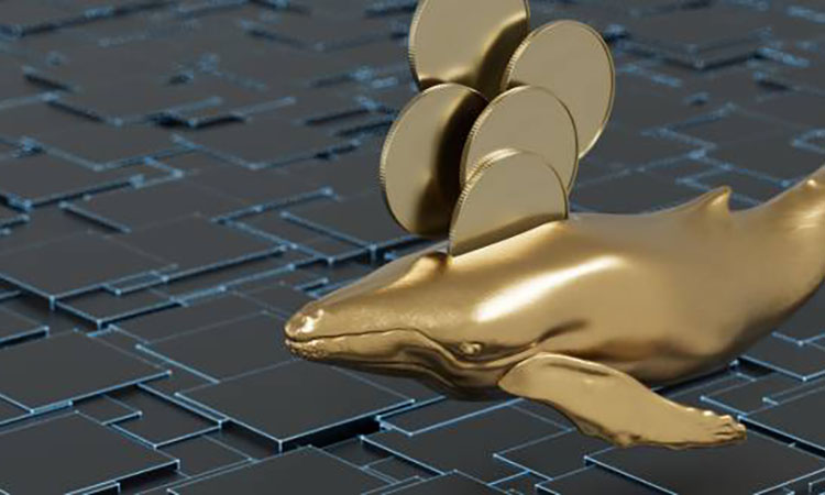 Crypto Whales: January 2025 Altcoin Picks