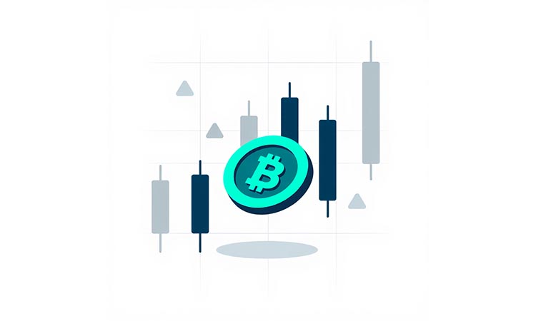 Bitcoin Looks for Support