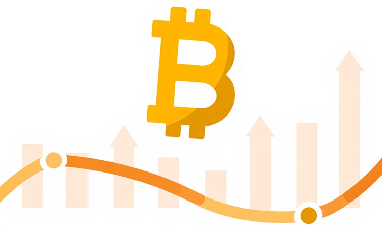 November: A Critical Month for Bitcoin