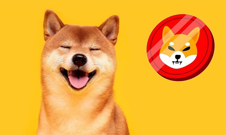 Shiba Inu Prospects for May