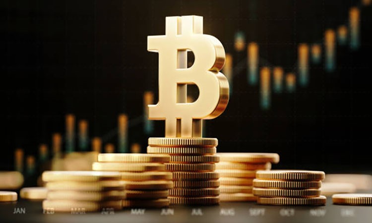 Spot Bitcoin ETFs: A Year of Growth