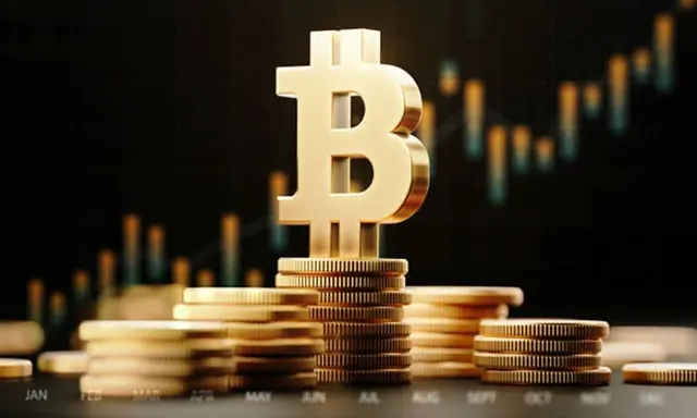 Spot Bitcoin ETFs: A Year of Growth