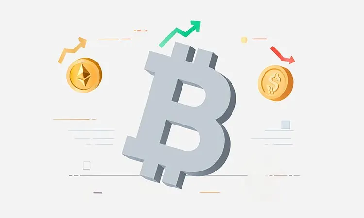 Stability and New Trends