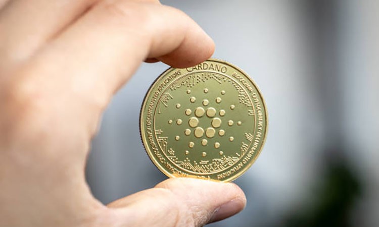 Cardano Prepares for Update: What Will Change?