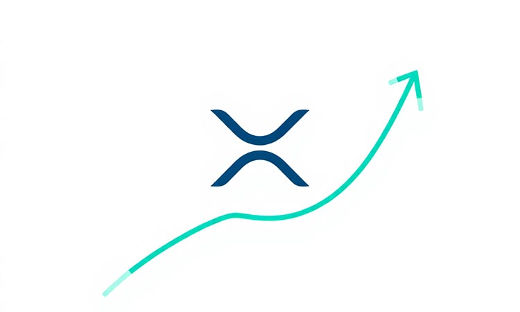 XRP Strengthens Its Position