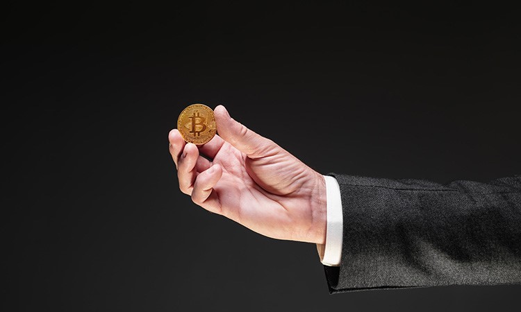 Possible Bitcoin Growth: Credible Crypto’s Forecast