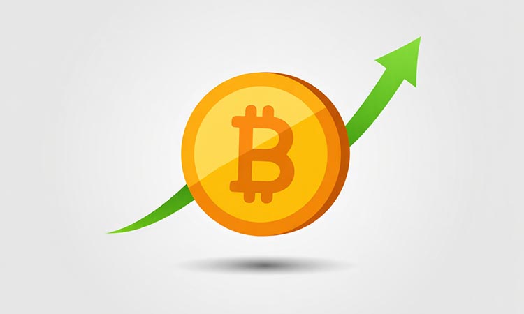 Crypto Market in a Phase of Waiting