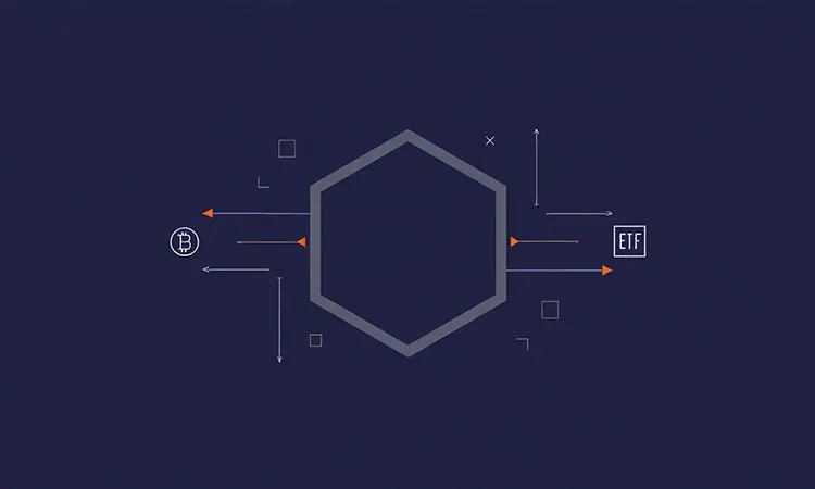 Major Players Reallocate Capital