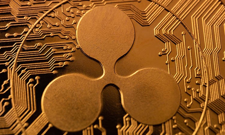 Ripple’s Victory in Court Against the SEC: What’s Next?