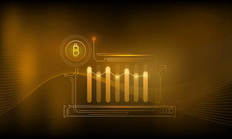 Bitcoin Held $100,000