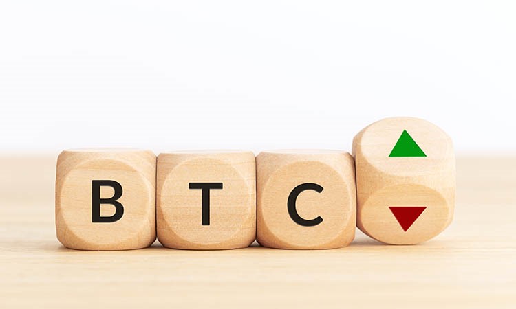 Bitcoin Price Prediction