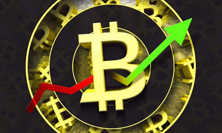 Bitcoin Corrections: Part of the Growth