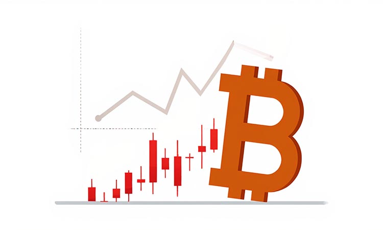 Bitcoin Crashes Below $113,000