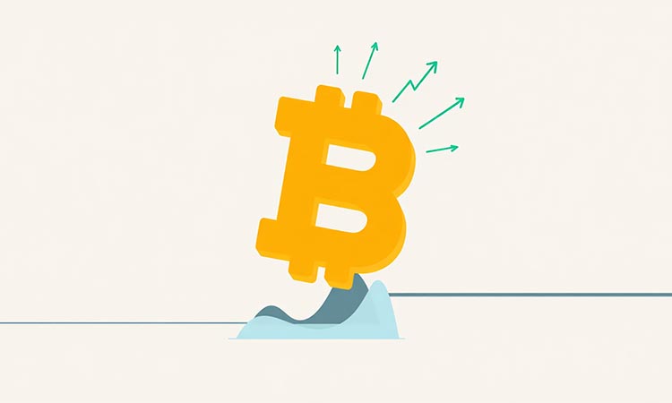 Bitcoin Balances at Key Levels
