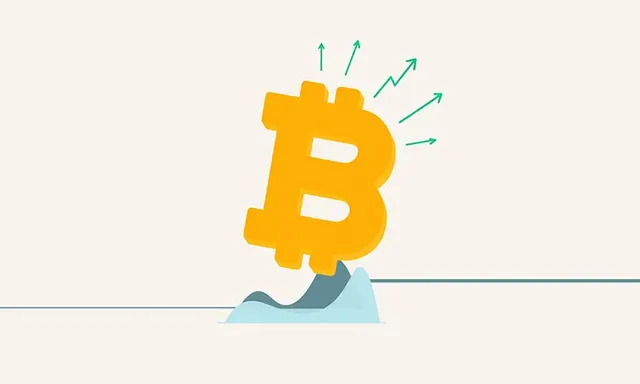 Bitcoin Balances at Key Levels