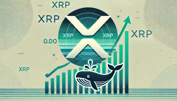 XRP Hits Five-Year High