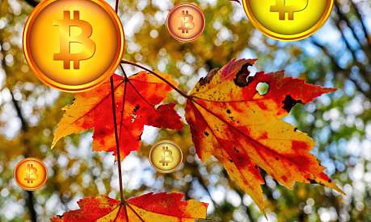 Bitcoin in September: Price Forecast and Event Impact