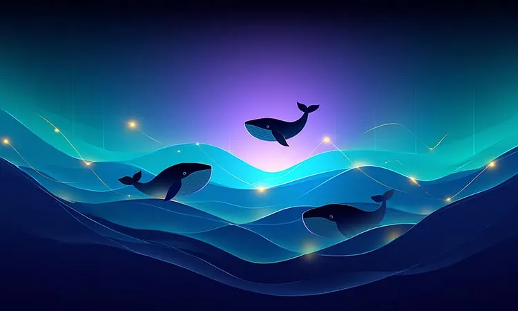 Crypto Whales Accumulate During Market Lull
