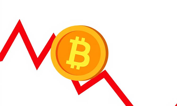 Crypto Market Loses Ground