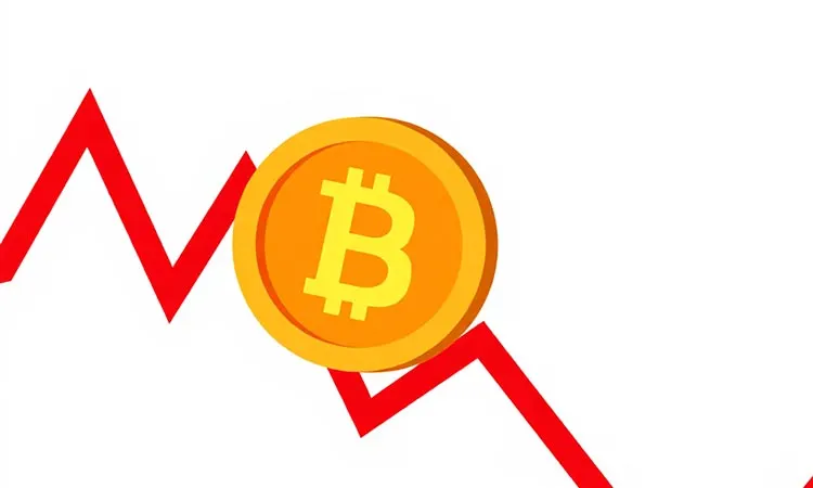 Crypto Market Loses Ground