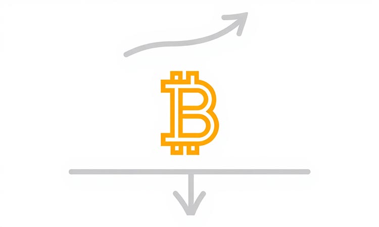 Bitcoin Searches for Support