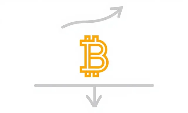 Bitcoin Searches for Support