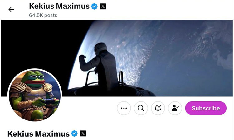 Musk and the Meme Effect