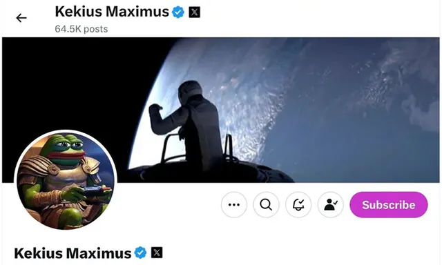 Musk and the Meme Effect