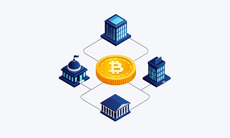 Institutional Bitcoin Concentration
