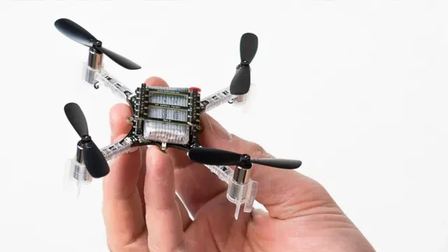 Mini Drones with Echolocation
