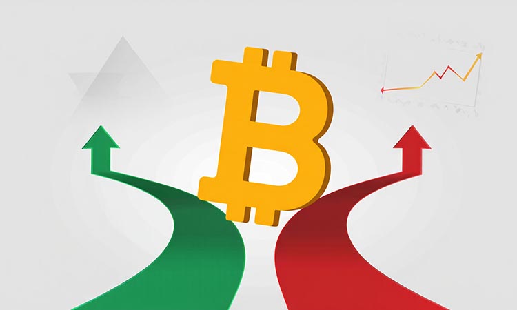 Bitcoin at a Critical Crossroads