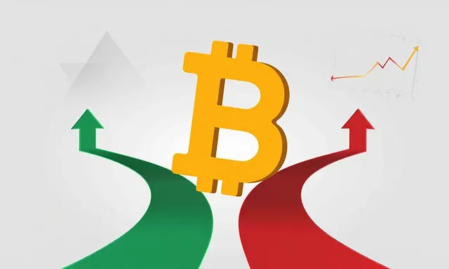 Bitcoin at a Critical Crossroads