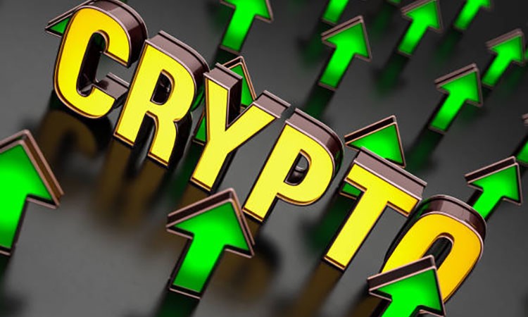 Bitcoin and Crypto Market Trends