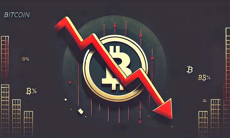 Bitcoin Loses Ground, Market Declines