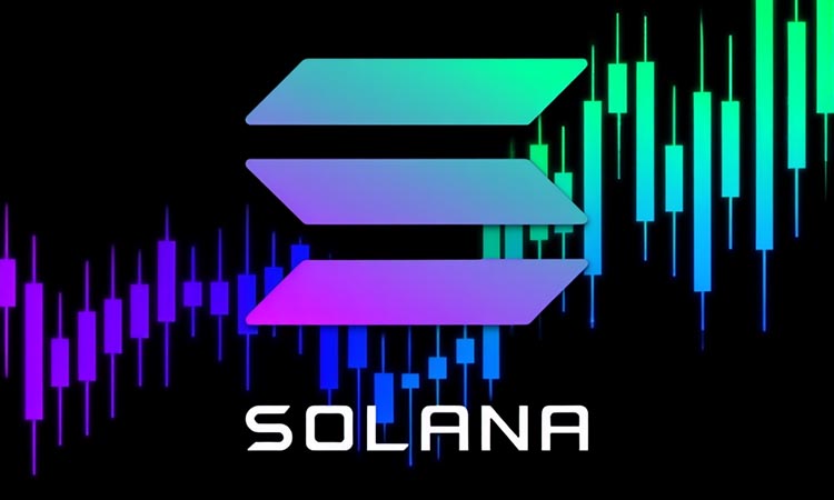 Solana Regains Momentum