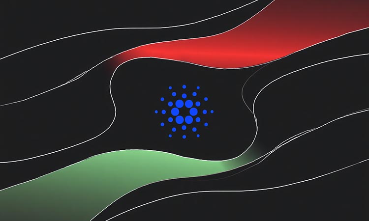Cardano at a Key Level