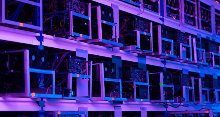 Top Layer 2 Networks by Developer Activity in April