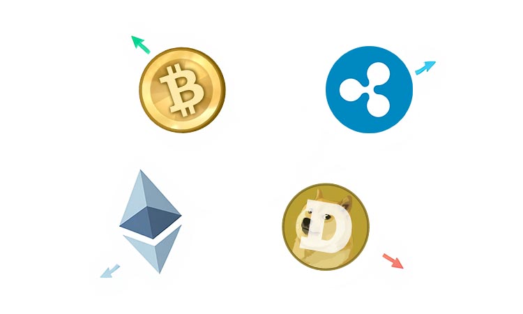 Crypto Asset Performance: Leaders and Laggards