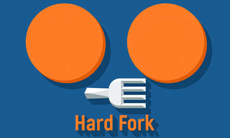 Cardano Prepares for the Chang Hardfork