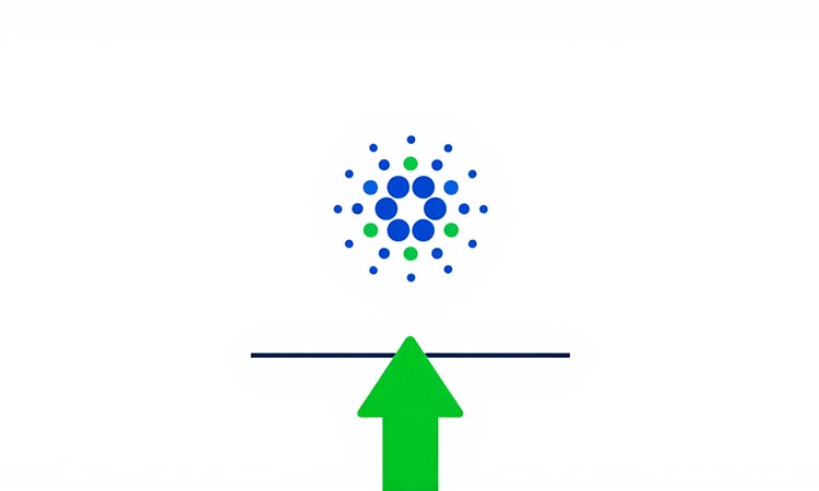 Cardano on the Verge of Breakout
