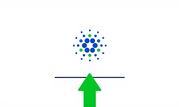 Cardano on the Verge of Breakout