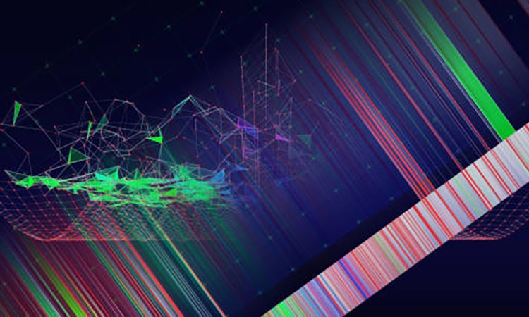 Altcoin Market on the Verge of a Correction