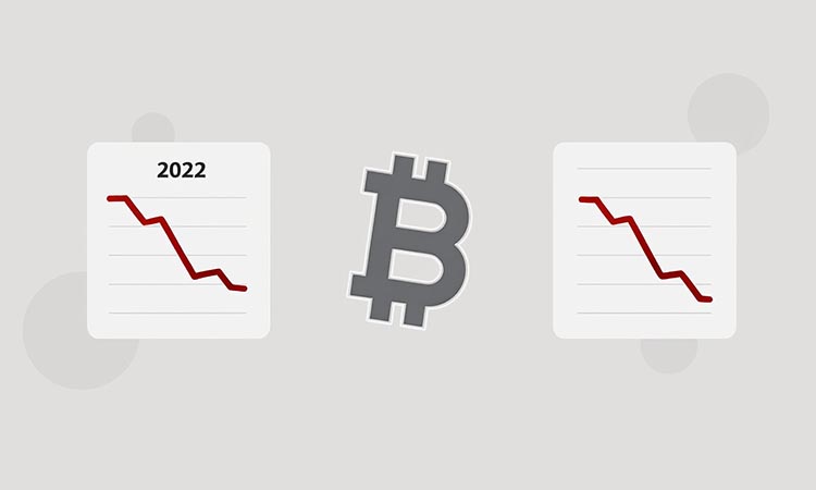 Bitcoin Echoes 2022