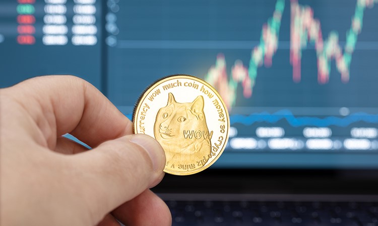 Dogecoin: Growth Potential and Current Position